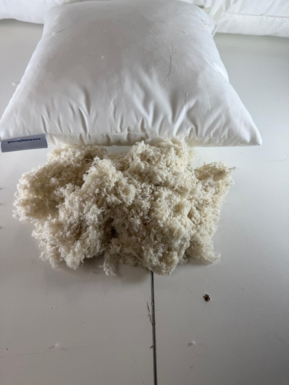 Silk filled inner cushion